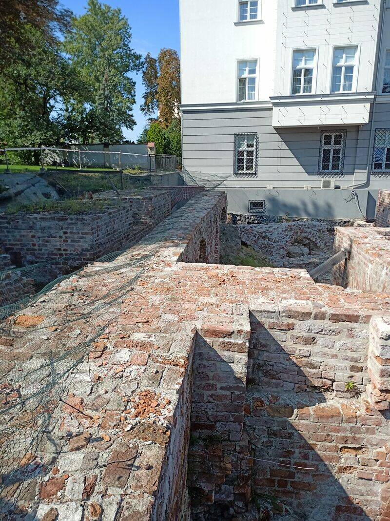 Ogród: lato 2022 roku